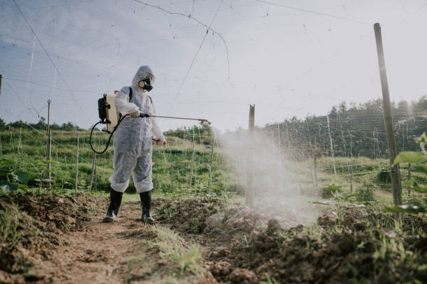 Best Commercial Pest Control Services  in Minco, OK