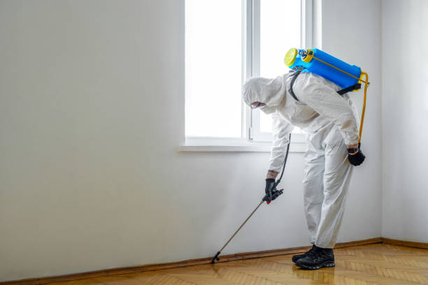 Best Pest Control for Restaurants  in Minco, OK
