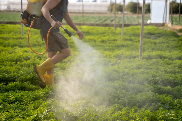 Best Insect Control  in Minco, OK