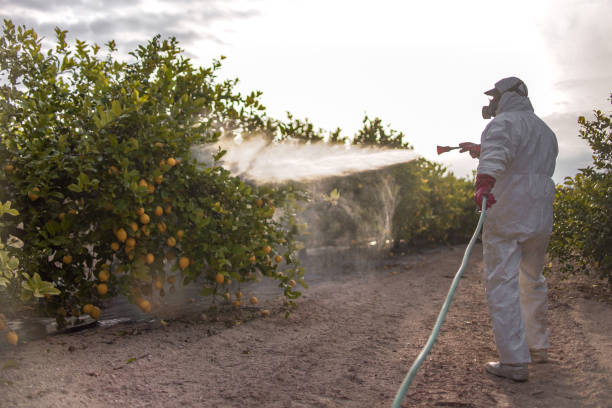 Trusted Minco, OK Pest Control Experts