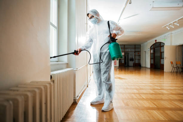 Best Pest Removal Services  in Minco, OK