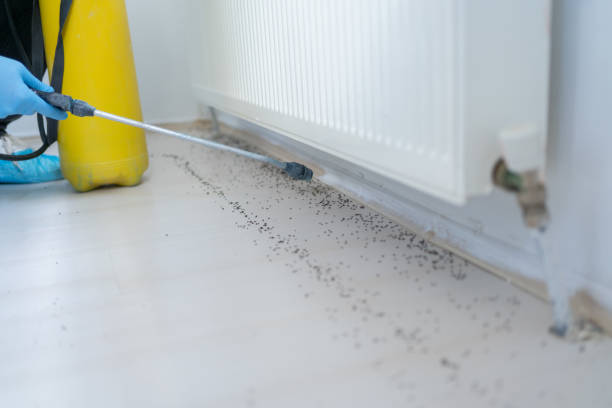 Pest Prevention Services in Minco, OK